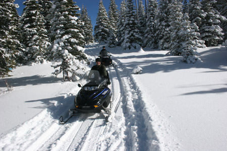 Snowmobile Mountain Adventure